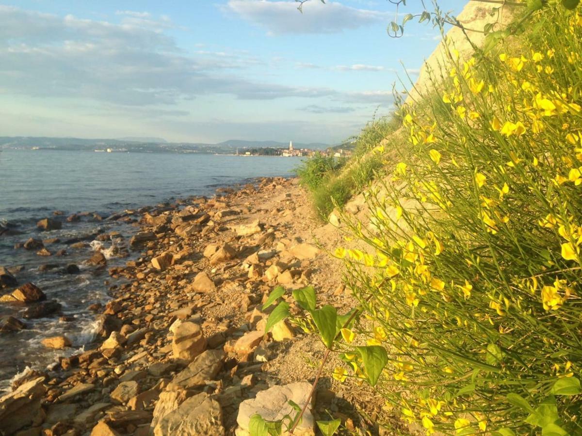 Apartma Ada Izola Kültér fotó